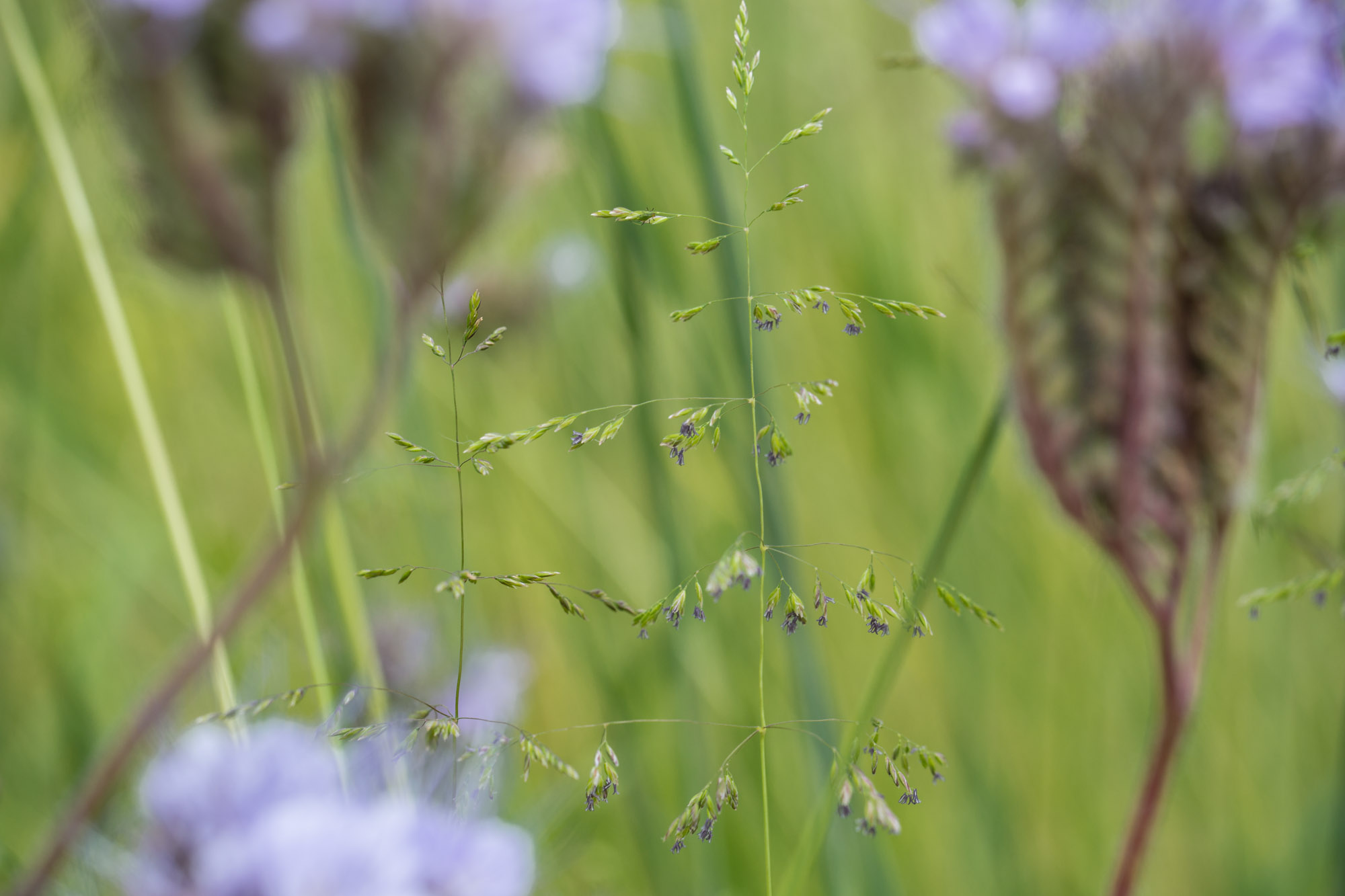 3. Natur